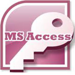 MS Access database developer Greenville NC